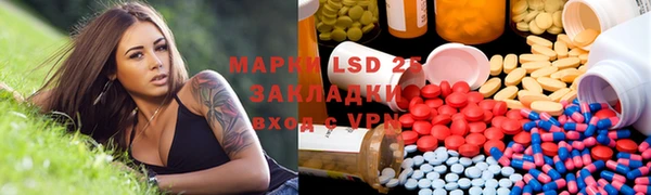 прущие грибы Гусиноозёрск