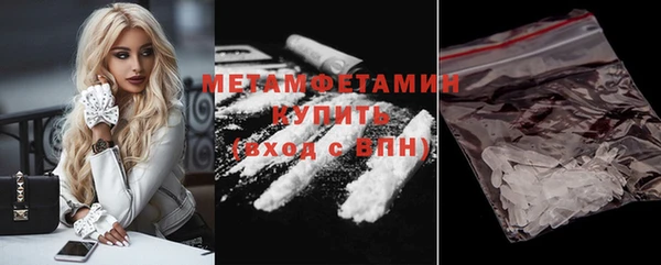прущие грибы Гусиноозёрск