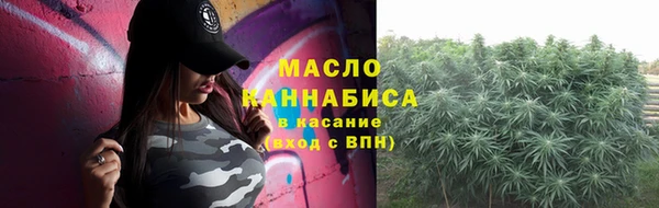прущие грибы Гусиноозёрск