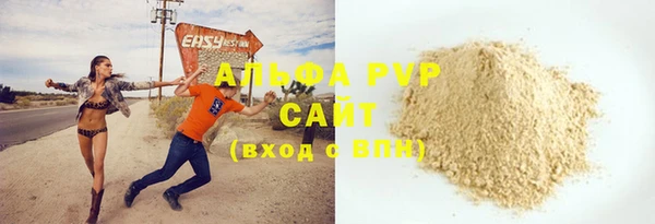 прущие грибы Гусиноозёрск