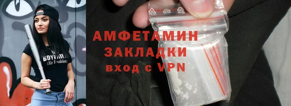 прущие грибы Гусиноозёрск