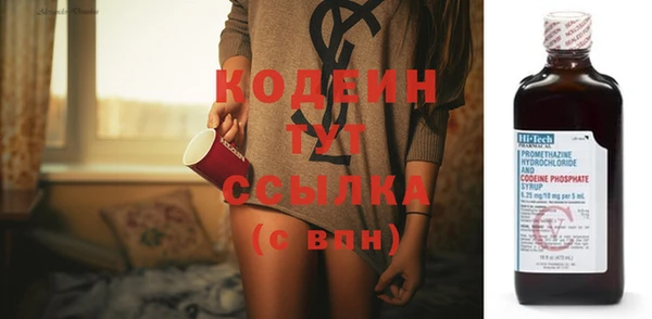 прущие грибы Гусиноозёрск