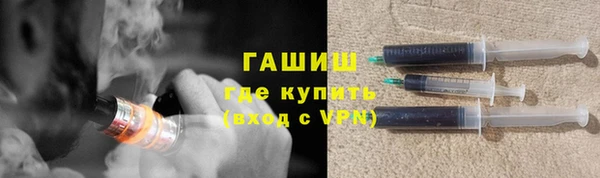 прущие грибы Гусиноозёрск