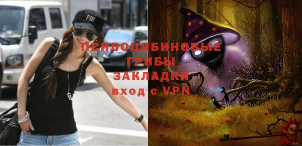 прущие грибы Гусиноозёрск