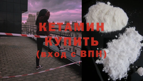 прущие грибы Гусиноозёрск