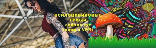 прущая мука Гусь-Хрустальный