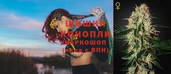 прущие грибы Гусиноозёрск