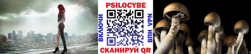 Купить  Ефремов  Псилоцибиновые грибы мухоморы 