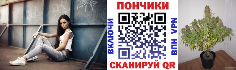 Бошки Шишки MAZAR  Купить где  Ефремов 